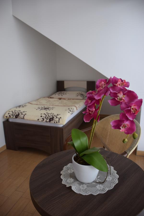 Hostel Novak Novo Mesto Kültér fotó